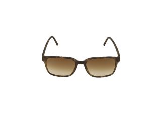 Gafas de sol Neubau T642 BOB Marrón Cuadrada - 2