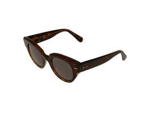 Ulleres de sol Ray Ban ROUNDABOUT 0RB2192 Ulleres de sol Ray Ban ROUNDABOUT 0RB2192