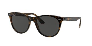 Ulleres de sol Ray Ban WAYFARER II 0RB2185 Ulleres de sol Ray Ban WAYFARER II 0RB2185