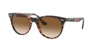 Gafas de sol Ray Ban WAYFARER II 0RB2185 Gafas de sol Ray Ban WAYFARER II 0RB2185