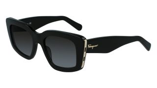Gafas de sol Salvatore Ferragamo SF1024S Gafas de sol Salvatore Ferragamo SF1024S