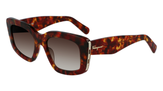 Ulleres de sol SALVATORE FERRAGAMO SF1024S Ulleres de sol SALVATORE FERRAGAMO SF1024S