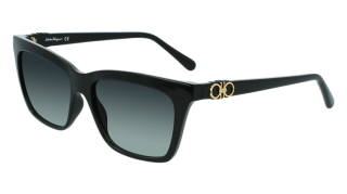 Gafas de sol Salvatore Ferragamo SF1027S Gafas de sol Salvatore Ferragamo SF1027S