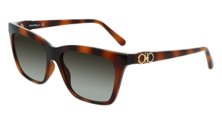 Gafas de sol Salvatore Ferragamo SF1027S Gafas de sol Salvatore Ferragamo SF1027S