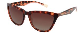 Gafas de sol Mr.Wonderful MW29083 MW29083595 Marrón Mariposa