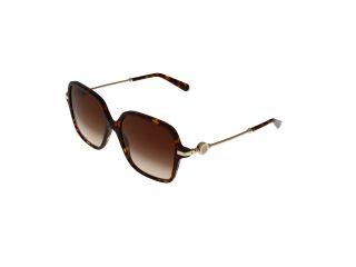 Ulleres de sol Bvlgari 0BV8248 Ulleres de sol Bvlgari 0BV8248
