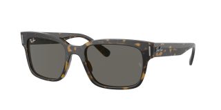 Ulleres de sol Ray Ban 0RB2190 Ulleres de sol Ray Ban 0RB2190