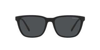 Gafas de sol Arnette 0AN4291 Negro Cuadrada - 2