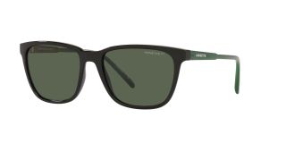 Gafas de sol Arnette 0AN4291 Negro Cuadrada - 1