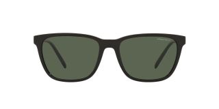 Gafas de sol Arnette 0AN4291 Negro Cuadrada - 2
