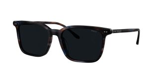 Gafas de sol Polo Ralph Lauren 0PH4194U Gafas de sol Polo Ralph Lauren 0PH4194U