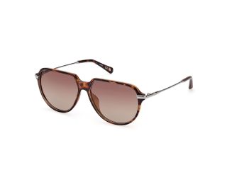 Ulleres de sol Guess GU00067 Marró Aviador - 1