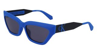 Ulleres de sol Calvin Klein Jeans CKJ22640S Ulleres de sol Calvin Klein Jeans CKJ22640S