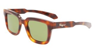 Ulleres de sol SALVATORE FERRAGAMO SF1064S Ulleres de sol SALVATORE FERRAGAMO SF1064S