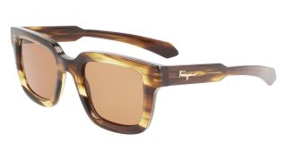 Ulleres de sol SALVATORE FERRAGAMO SF1064S Ulleres de sol SALVATORE FERRAGAMO SF1064S