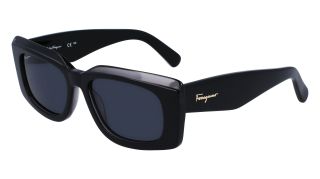 Gafas de sol Salvatore Ferragamo SF1079S Gafas de sol Salvatore Ferragamo SF1079S