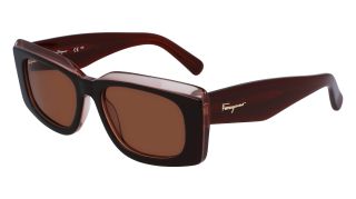 Ulleres de sol SALVATORE FERRAGAMO SF1079S Ulleres de sol SALVATORE FERRAGAMO SF1079S