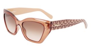 Gafas de sol Salvatore Ferragamo SF1043S Gafas de sol Salvatore Ferragamo SF1043S