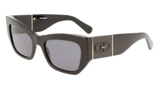 Gafas de sol Salvatore Ferragamo SF1059S Gafas de sol Salvatore Ferragamo SF1059S