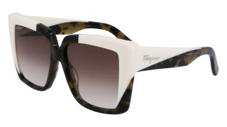 Gafas de sol Salvatore Ferragamo SF1060S Gafas de sol Salvatore Ferragamo SF1060S
