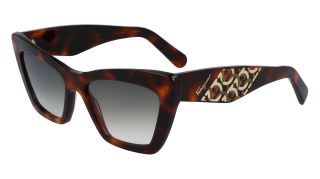 Gafas de sol Salvatore Ferragamo SF1081SE Gafas de sol Salvatore Ferragamo SF1081SE