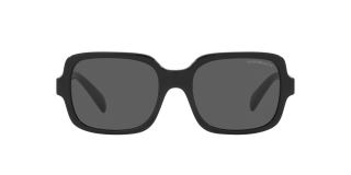 Ulleres de sol Emporio Armani 0EA4195 Negre Quadrada - 1