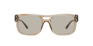 Ulleres de sol Emporio Armani 0EA4197 Marró Quadrada - 1