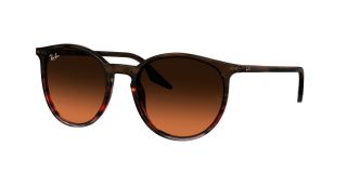 Gafas de sol Ray Ban 0RB2204 Marrón Redonda - 1