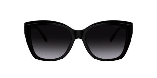 Ulleres de sol Emporio Armani 0EA4198 Negre Papallona - 2