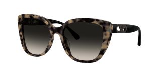 Ulleres de sol Emporio Armani 0EA4214U Marró Papallona - 1