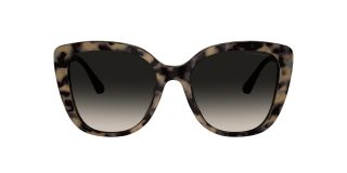 Ulleres de sol Emporio Armani 0EA4214U Marró Papallona - 2