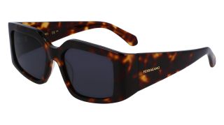Ulleres de sol SALVATORE FERRAGAMO SF1101S Ulleres de sol SALVATORE FERRAGAMO SF1101S