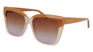 Ulleres de sol SALVATORE FERRAGAMO SF1102S Marró Rectangular - 1