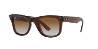 Gafas de sol Ray Ban 0RBR0502S WAYFARER REVERSE Marrón Cuadrada