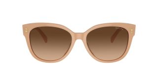 Ulleres de sol Ralph Lauren 0RA5305U Beige Papallona - 2