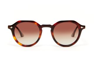 Gafas de sol Scalpers GINZA GINZA Marrón Ovalada - 2