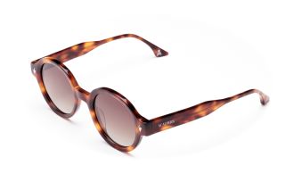Gafas de sol Scalpers GOTIC GOTIC Marrón Ovalada - 1
