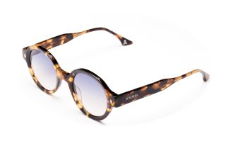Gafas de sol Scalpers GOTIC GOTIC Marrón Ovalada - 1