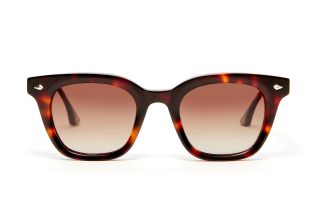 Gafas de sol Scalpers QUEENS QUEENS Marrón Mariposa - 2