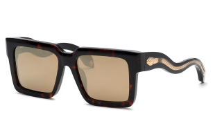 Gafas de sol Roberto Cavalli SRC055 Marrón Cuadrada