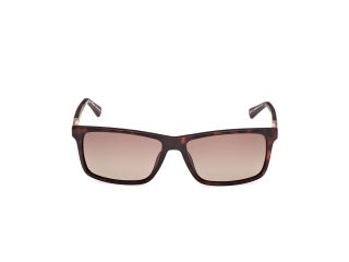 Ulleres de sol TIMBERLAND TB00019 Transparent Rectangular - 2