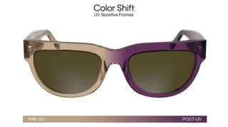 Gafas de sol Calvin Klein CKJ25600S Marrón Mariposa - 2