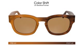 Gafas de sol Calvin Klein CKJ25601S Marrón Cuadrada - 2