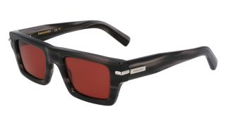 Gafas de sol Salvatore Ferragamo SF2034S Gafas de sol Salvatore Ferragamo SF2034S