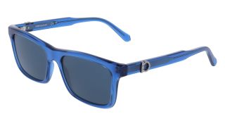 Gafas de sol Salvatore Ferragamo SF2060SE Gafas de sol Salvatore Ferragamo SF2060SE
