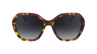 Gafas de sol Longchamp LO759S Marrón Rectangular - 1